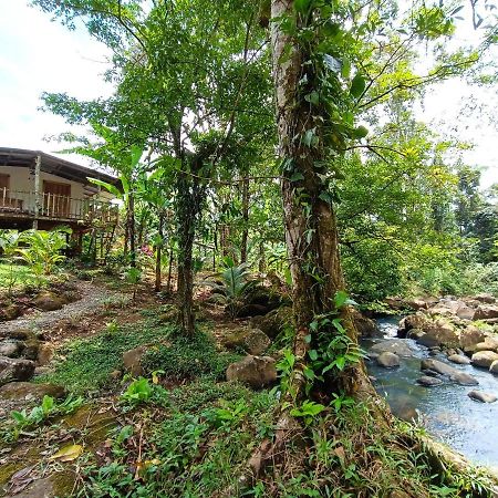 Cabana Vista Rio Celeste Eksteriør bilde