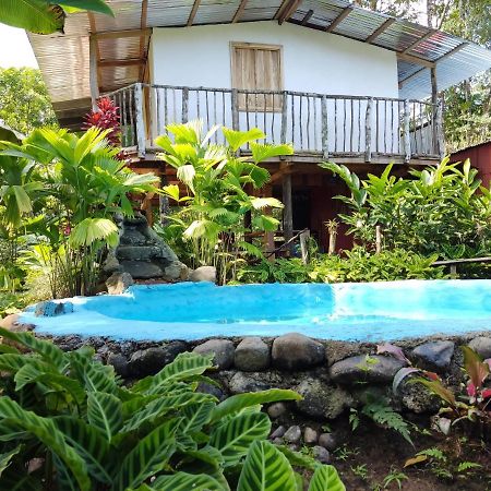 Cabana Vista Rio Celeste Eksteriør bilde