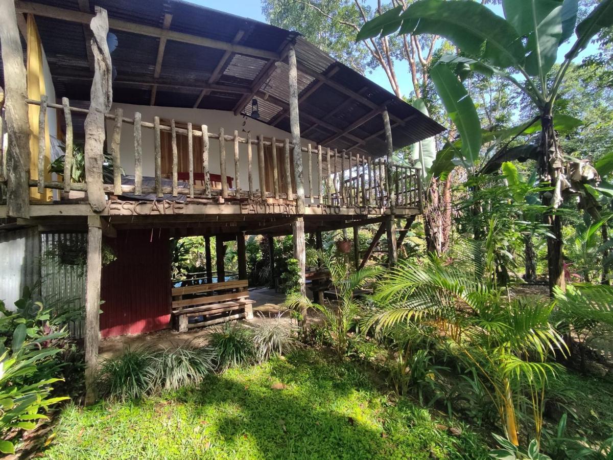 Cabana Vista Rio Celeste Eksteriør bilde