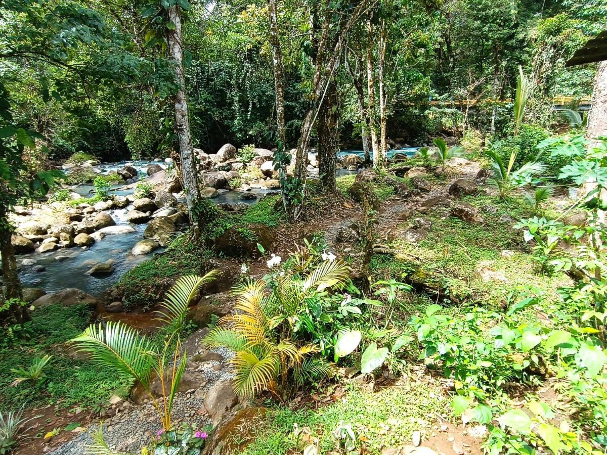 Cabana Vista Rio Celeste Eksteriør bilde