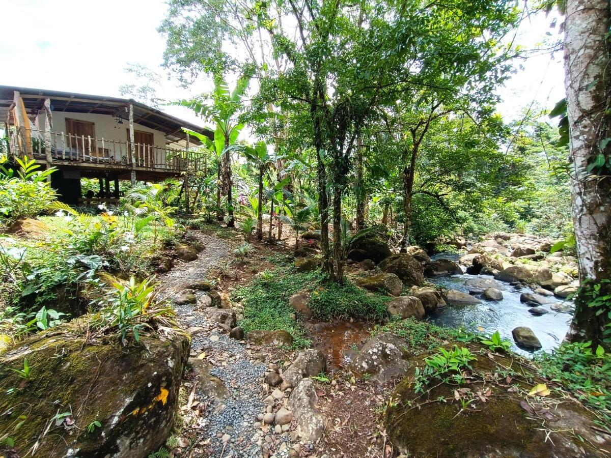 Cabana Vista Rio Celeste Eksteriør bilde