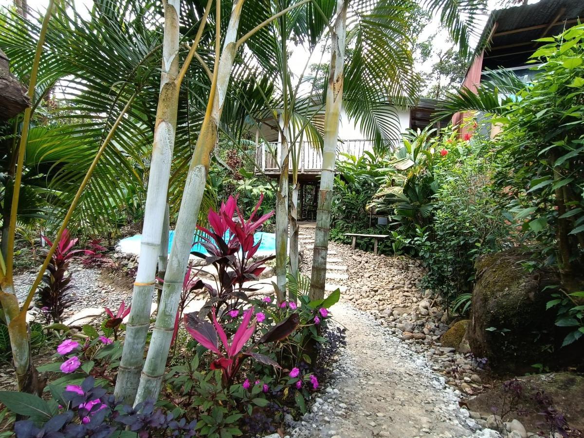 Cabana Vista Rio Celeste Eksteriør bilde