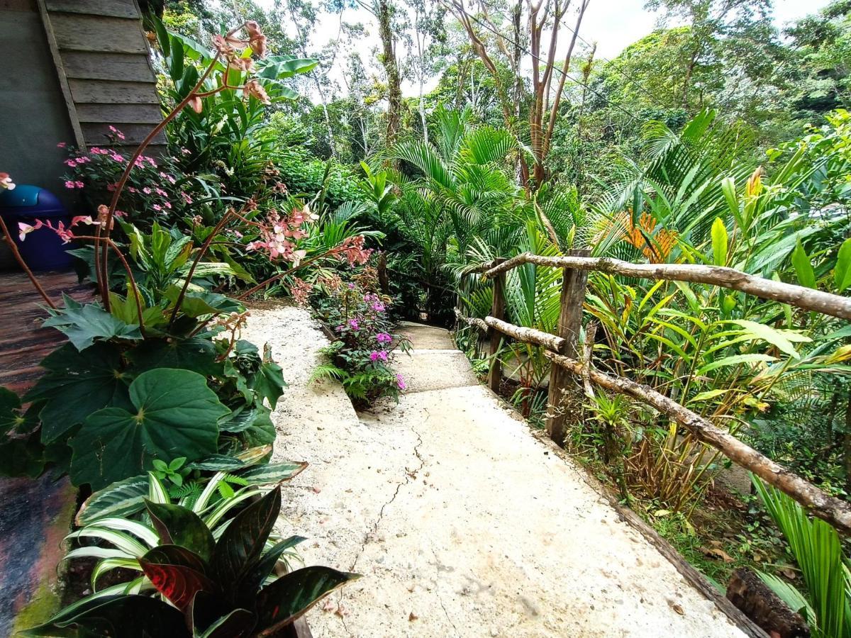 Cabana Vista Rio Celeste Eksteriør bilde