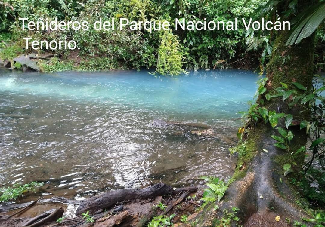 Cabana Vista Rio Celeste Eksteriør bilde
